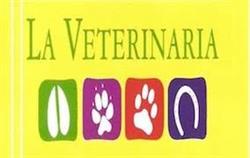 La Veterinaria Dra. Cecilia Masi Elizalde