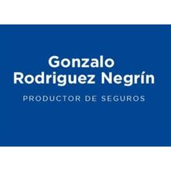 Gonzalo Rodríguez Negrín Productor de Seguros.