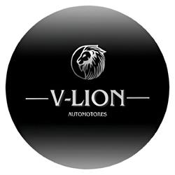 V - LION SRL
