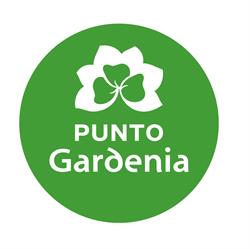 Punto Gardenia