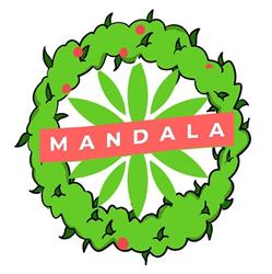Mandala Grow Shop Salta