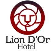Hotel Lion Dor