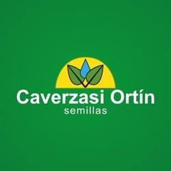 Caverzasi Ortín Semillas