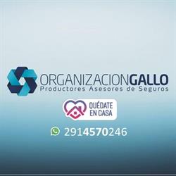 ORGANIZACION GALLO