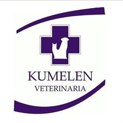 Veterinaria Kümelen