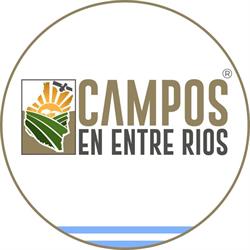Campos en venta en Entre Ríos