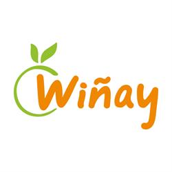 Wiñay S.A.