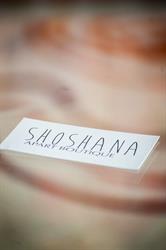 Hotel Boutique Shoshana