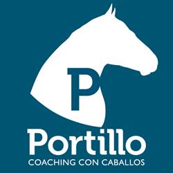 Portillo Coaching