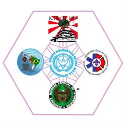 FCA-MEIS Internacional