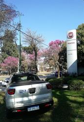 Fiat Piazza Yerba Buena