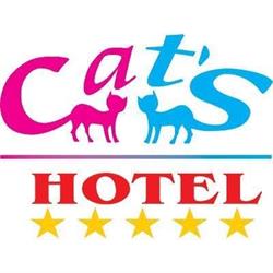 Hotel Cat's