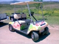 Club Car DS Alquiler para evento