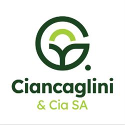 G. Ciancaglini & Cia. S.A.