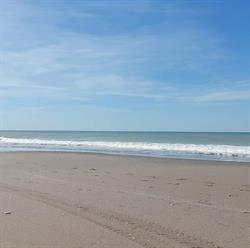 CABAÑAS LOS TRONCOS MONTE HERMOSO