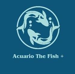 Acuario The Fish