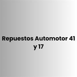 Repuestos Automotor 41 y 17