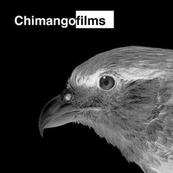 Chimango Films / Fotografía y Video Profesional.