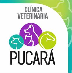 Clinica Veterinaria Pucara