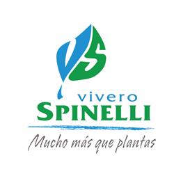 Vivero Spinelli