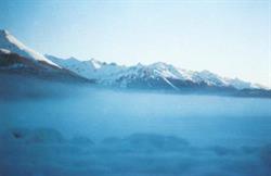 Patagonia Synergia - Real Estate