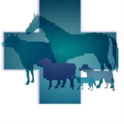 Veterinaria Los Perales