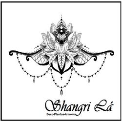 Shangri Lá. Recreo