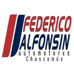Federico Alfonsin Automotores