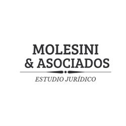 Estudio Molesini & Asociados