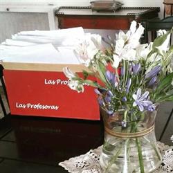 Las Profesoras Apoyo escolar.