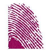 Identidad