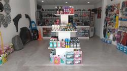 Autopartes NG