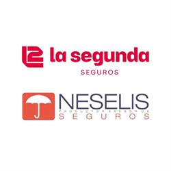 Neselis Seguros