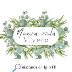 Nueva vida vivero