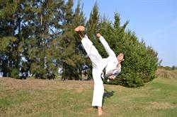 Taekwon-do Yusan. Grupo Maestro Maximiliano Petronella