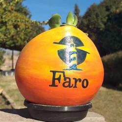 Centro Faro San Juan