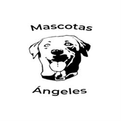 Mascotas y Ángeles