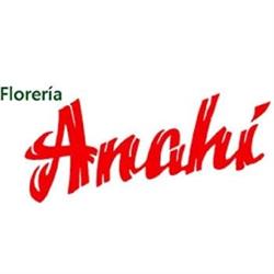 Florería Anahí