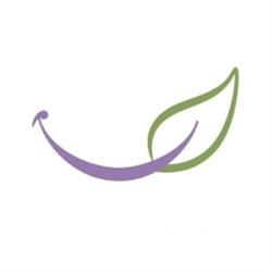 Odontologia Eco