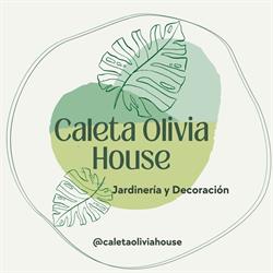 Caletaoliviahouse