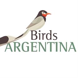 Birds Argentina