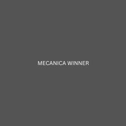 MECANICA WINNER