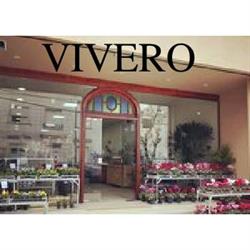 Vivero 58