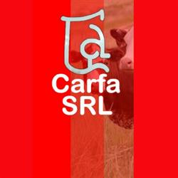 CARFA SRL
