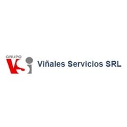Grupo Vsi