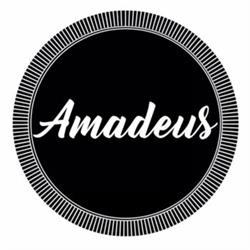 Amadeus Indumentaria Para Hombres