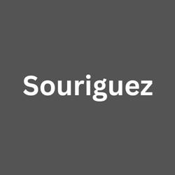 Servicio Técnico Souriguez