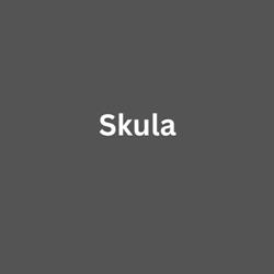 FINANCIERA SKULA