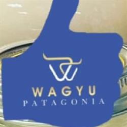 wagyupatagonia