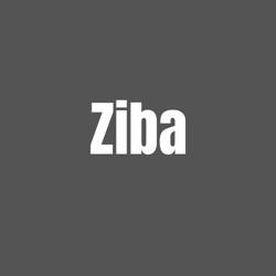 ziba impresora